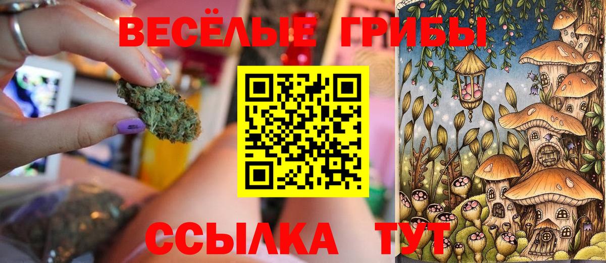 что такое   Вход с VPN  Уварово  Галлюциногенные грибы мухоморы 